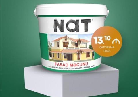 Nat fasad məcunu