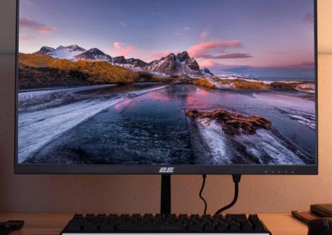 Monitor 2E 23.8" D2423B